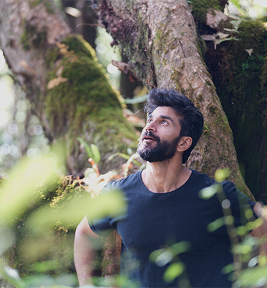 In the forest