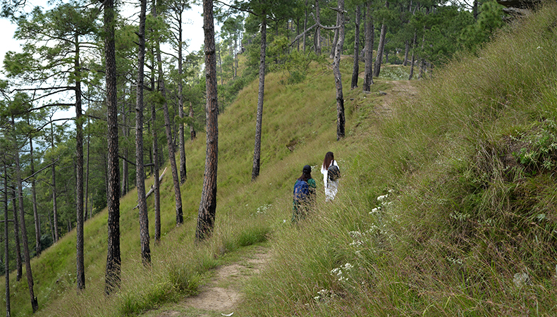 Forest trail · Kasar Devi